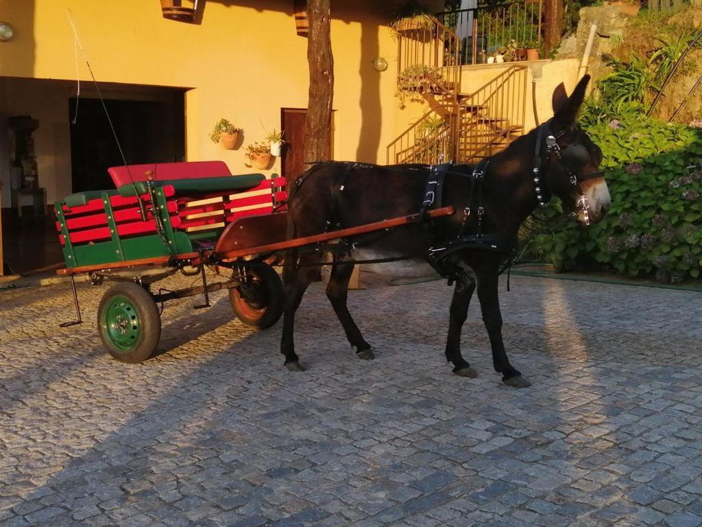 Quinta De Carcavelos Agroturismo E Enoturismo Селорику-ди-Башту Экстерьер фото
